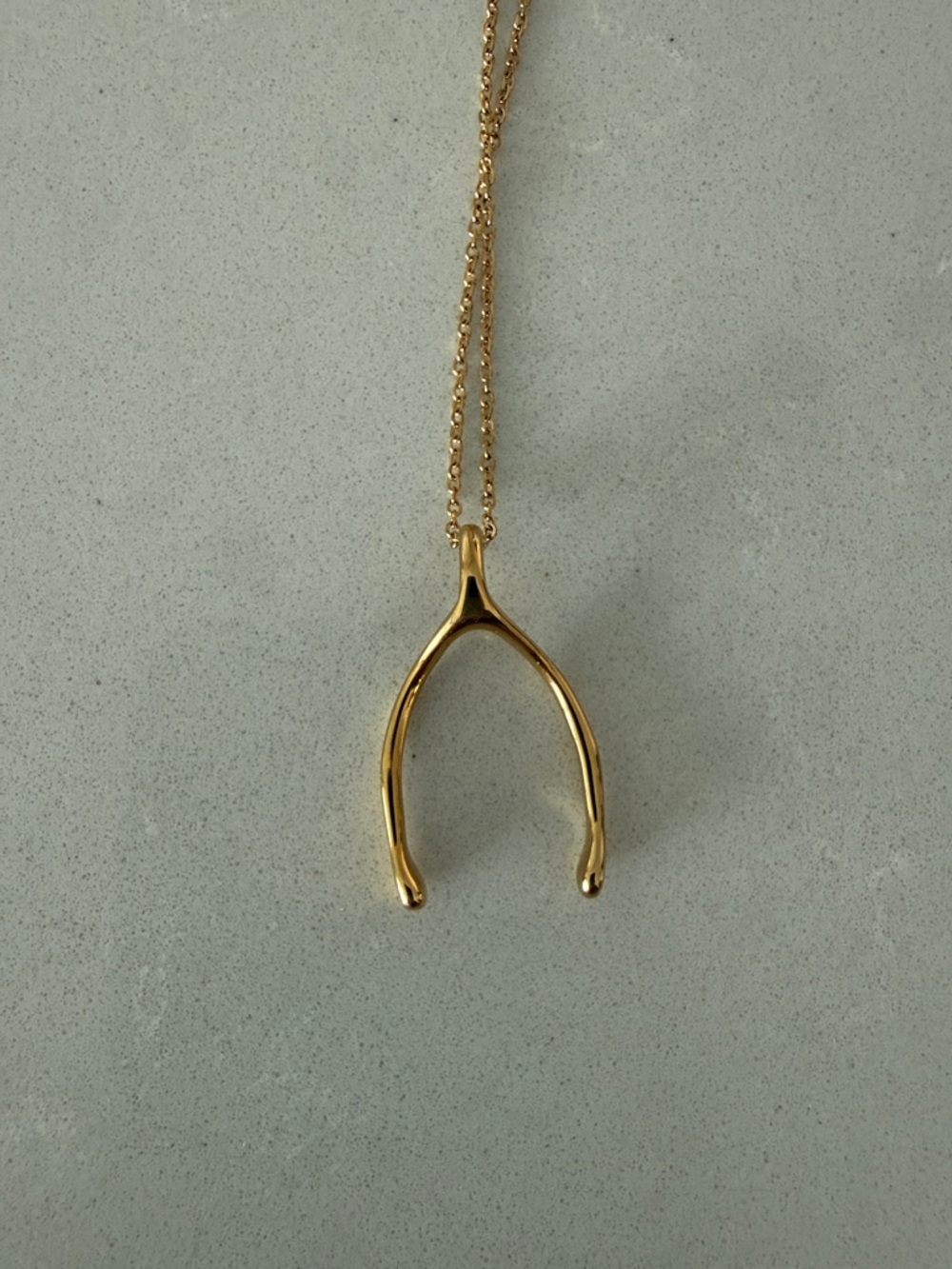 Emily C Gold Wishbone Ring Holder Necklace